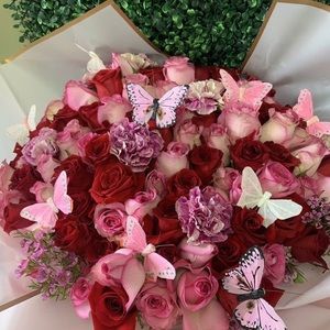 Meet your Posher, Brianna